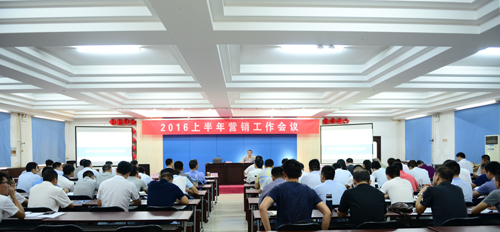 九洲国际召开2016年上半年营销工作会议